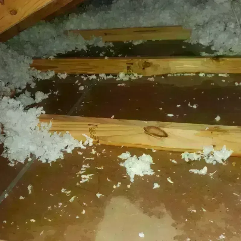 Attic Water Damage in Evans, GA