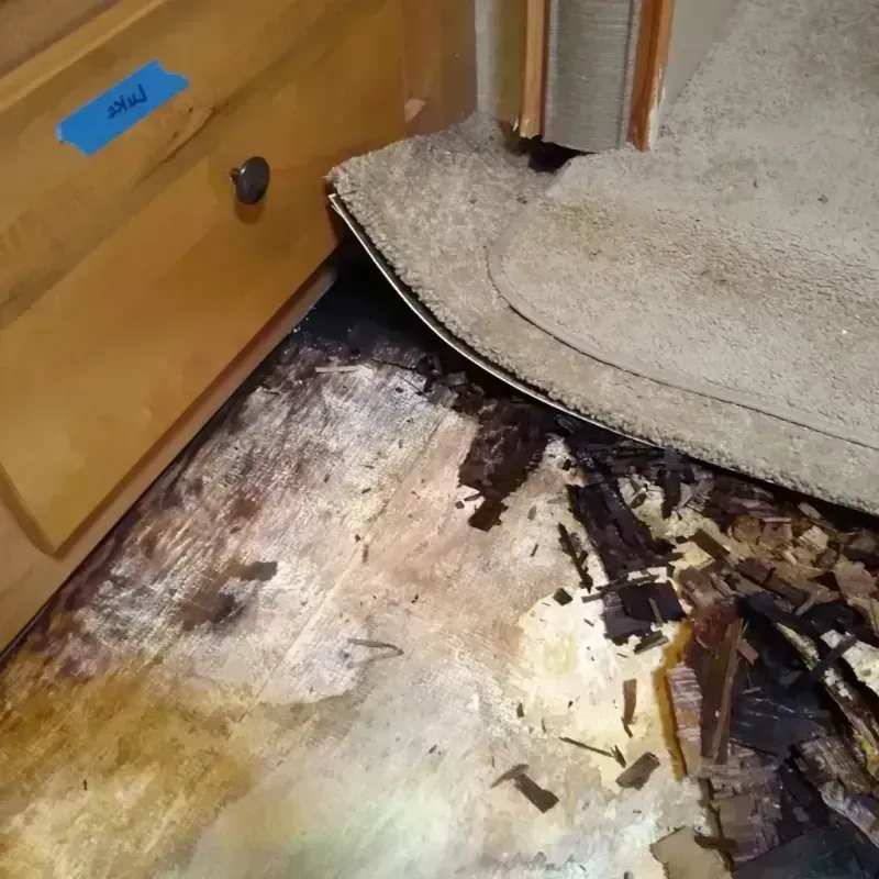 Wood Floor Water Damage in Evans, GA